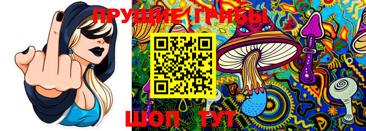 Кушва  Псилоцибиновые грибы ЛСД  Псилоцибиновые грибы Magic Shrooms  где купить наркоту  Вход с VPN 